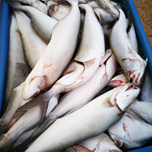 Fisk er godt: En omfattende guide til fordelene ved at spise fisk